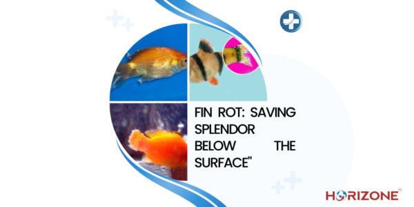 Horizone Fish Foods