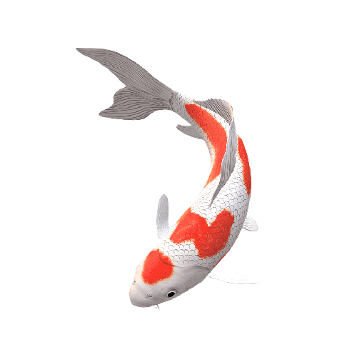 Horizone Fish Foods